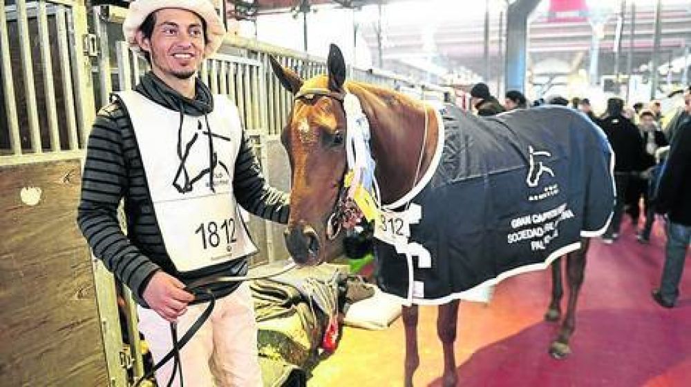 La Rural: pagaron $ 355.000 por la yegua de polo campeona