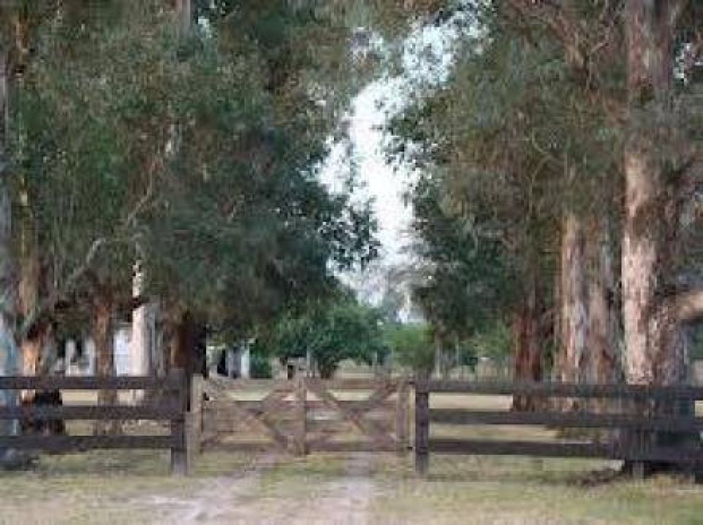 Formosa es una de las dos provincias con menor porcentaje de tierras en manos de extranjeros 