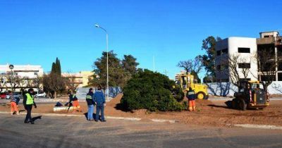 Nivelaci�n de canteros en la avenida Belgrano