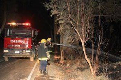  Sofocan incendio en el Parque Pte. Sarmiento