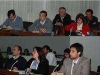 Sesi�n ordinaria del HCD