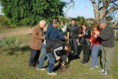 Plantaron ejemplares de distintas especies en el barrio Monte Alto