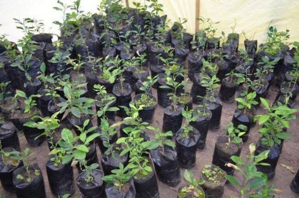 El Centro de Promoci�n Ambiental de Villa �ngela cumpli� su primer a�o