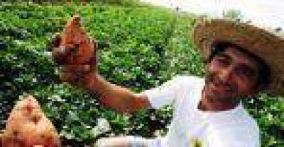 Agricultura familiar: �Hay que industrializar la ruralidad�
