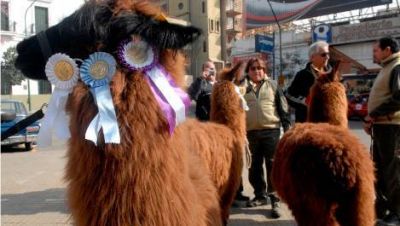 Este a�o, las llamas no fueron a la Rural