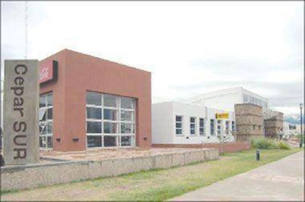 Es obligatorio actualizar la licencia de conducir