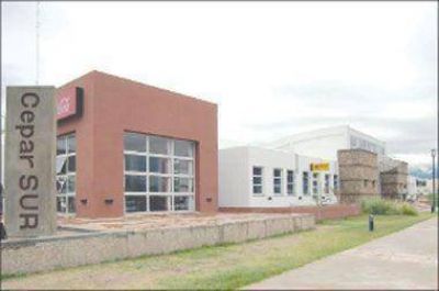 Es obligatorio actualizar la licencia de conducir