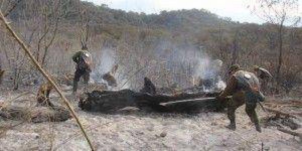 Sofocaron un incendio intencional en el Parque Biol�gico de la UNT