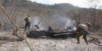 Sofocaron un incendio intencional en el Parque Biol�gico de la UNT