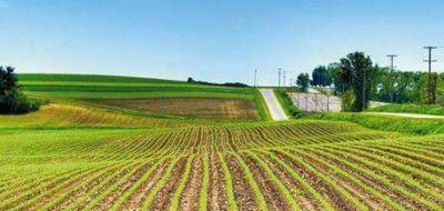 Los agropecuarios de General Pueyrredon reclaman por la inseguridad