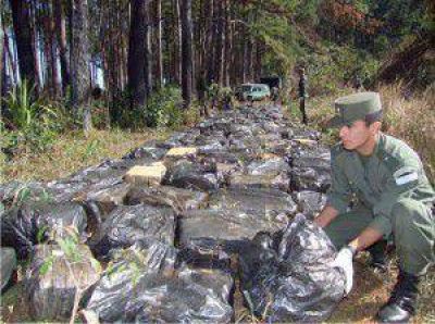 Incautaron 5 toneladas de marihuana en Jard�n Am�rica