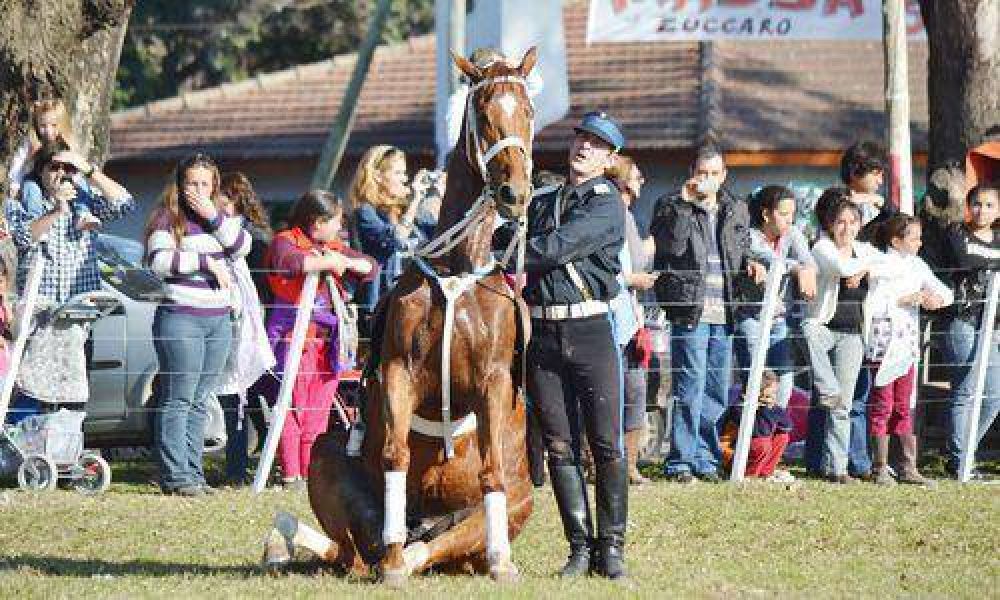 M�s de 2.000 personas disfrutaron de las piruetas de los caballos