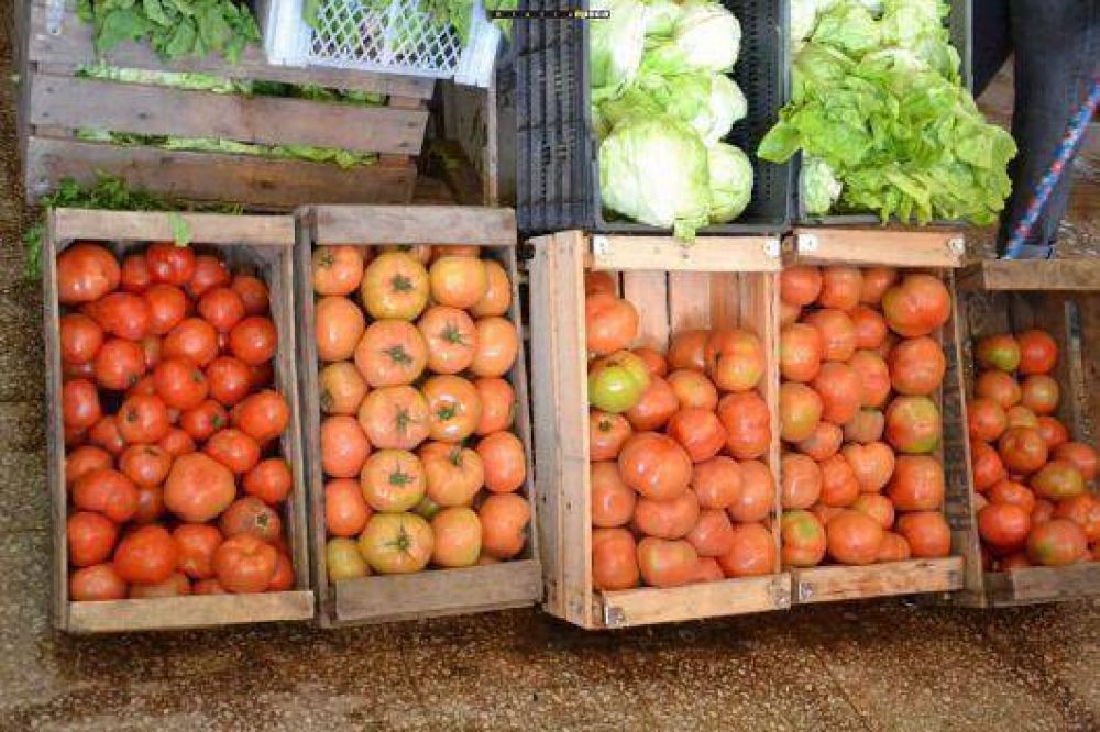 Verduleros aseguran que se busca variedad con presupuesto acotado