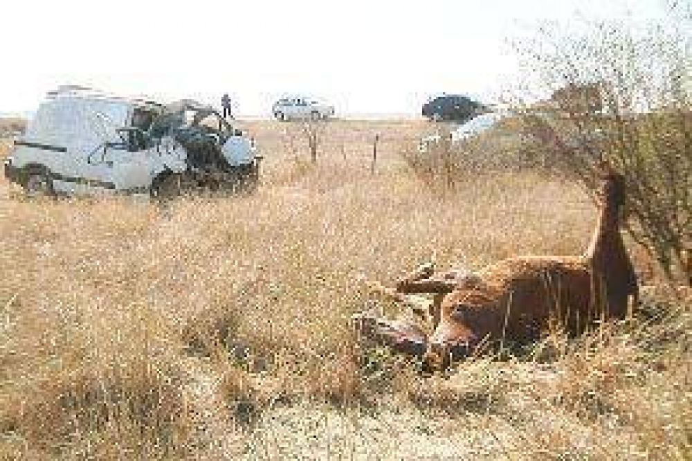 Un beb� muri� y sus padres est�n graves tras volcar en la ruta 34
