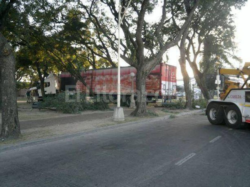 Un cami�n choc� una fuente de la Plaza Col�n  