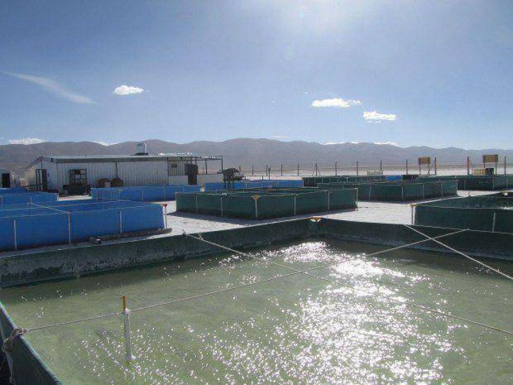 Ponen en marcha las piletas del gran proyecto
