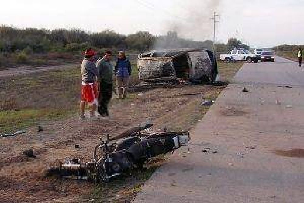 En menos de una semana, animales provocaron 5 choques y 2 v�ctimas fatales