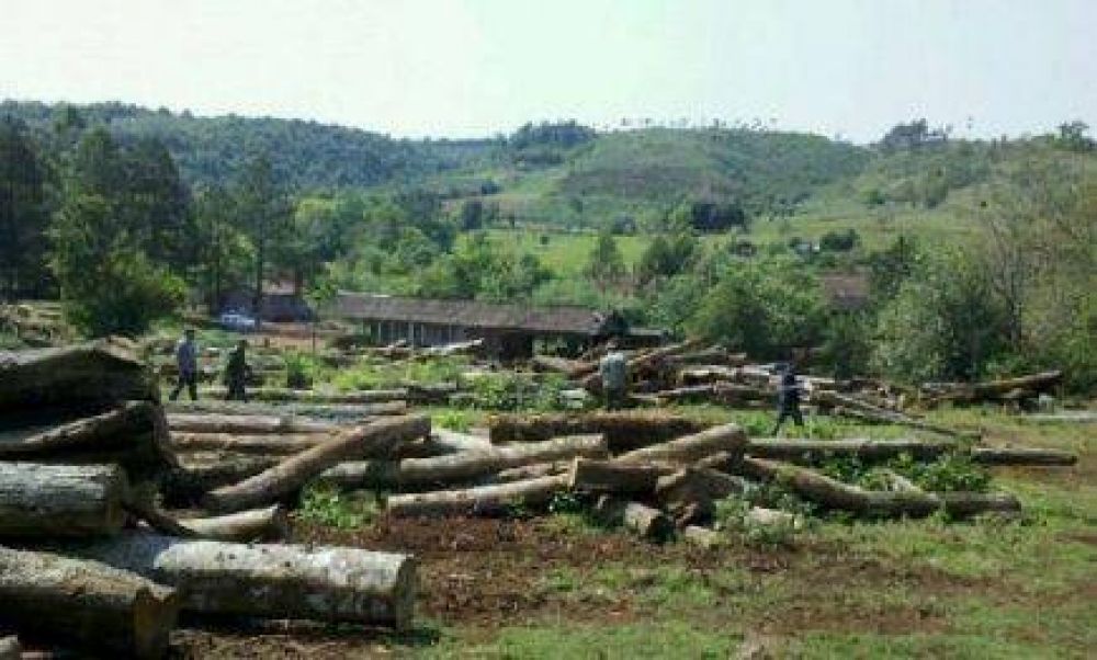 Conmoci�n en Garup�: apareci� ahorcada una menor de 13 a�os en un aserradero
