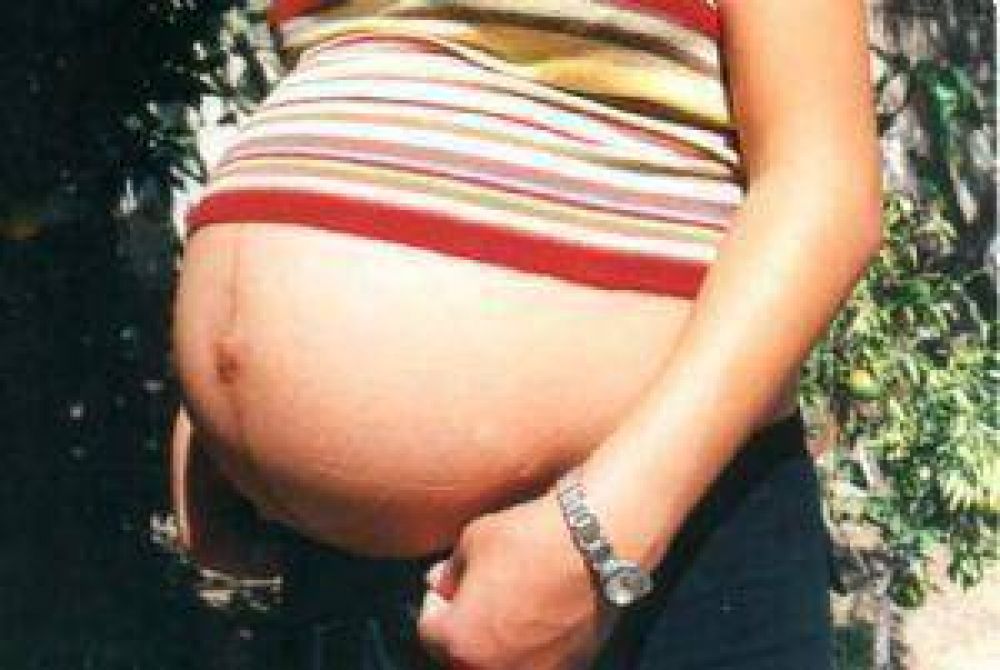Trabajan para ejecutar la ley de fertilizaci�n asistida