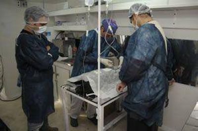 Donan quir�fano m�vil para esterilizaciones de mascotas