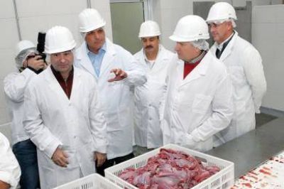 Chubut exporta 24 mil kilos de carne de liebre al mercado europeo