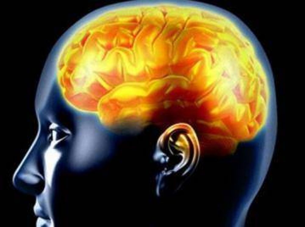 Organizan una jornada sobre Ley de Epilepsia