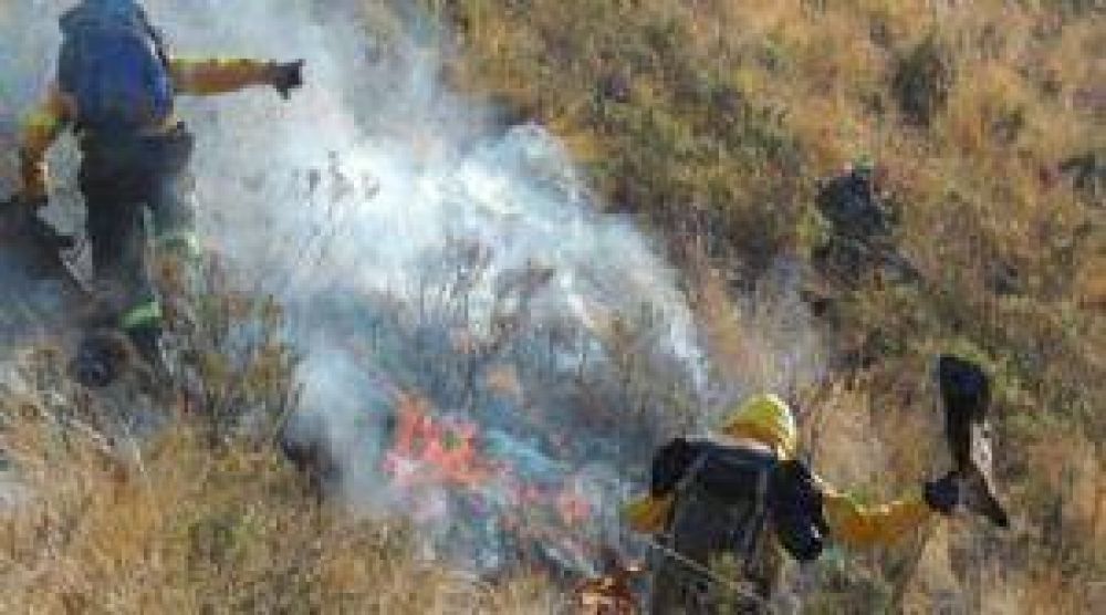 Son 2.000 las hect�reas que se quemaron en cerro Ambato