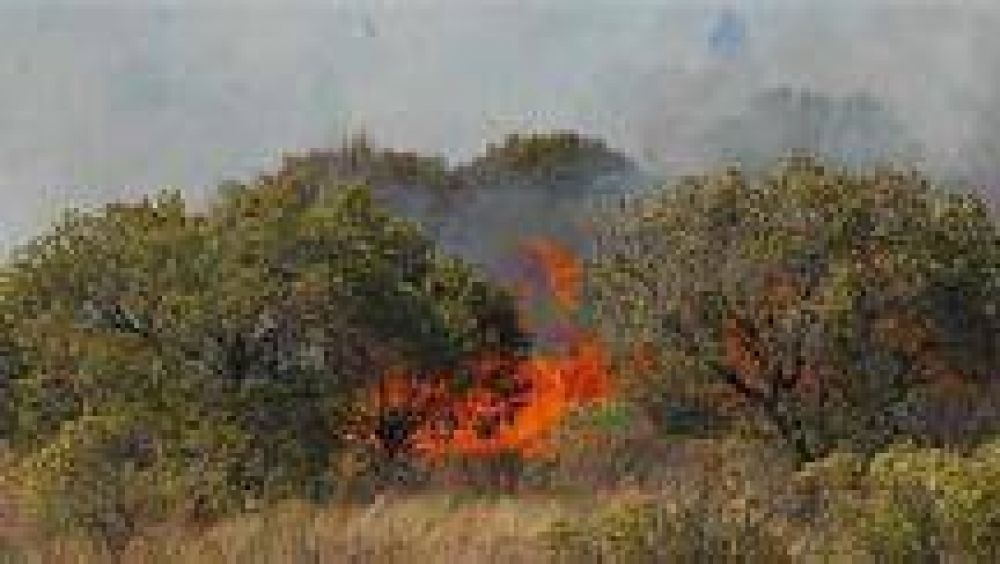 Feroz incendio arras� m�s de cien hect�reas en La Silleta y alrededores de la RN51