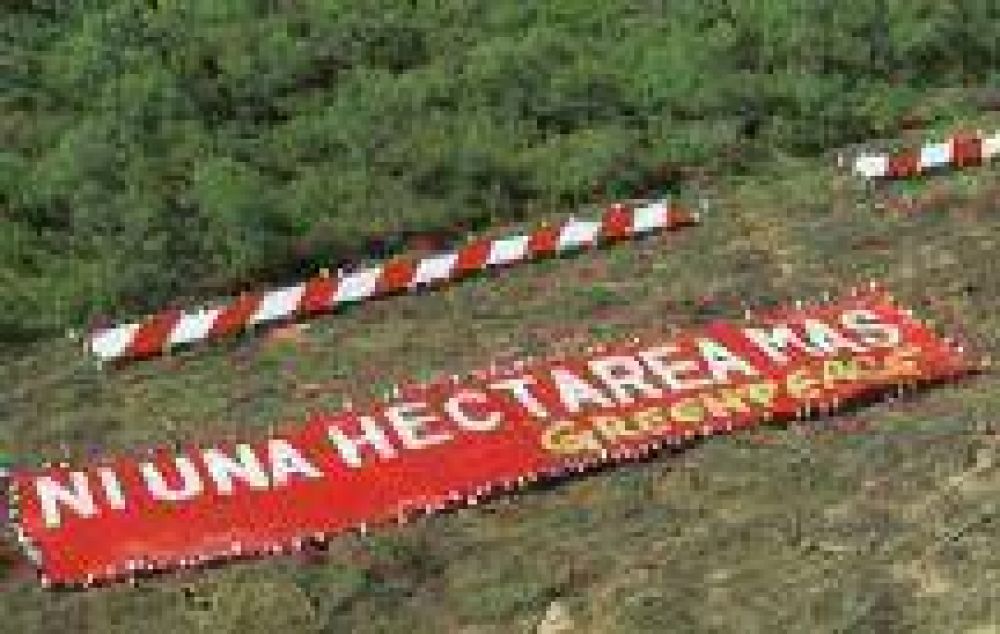 Greenpeace: La vuelta de los guerreros verde d�lar a Salta