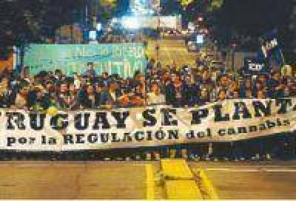 Debaten la legalizaci�n de la marihuana en el Congreso de Uruguay