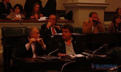 Diputados: la emergencia para Apip� ser� tratada luego de las primarias