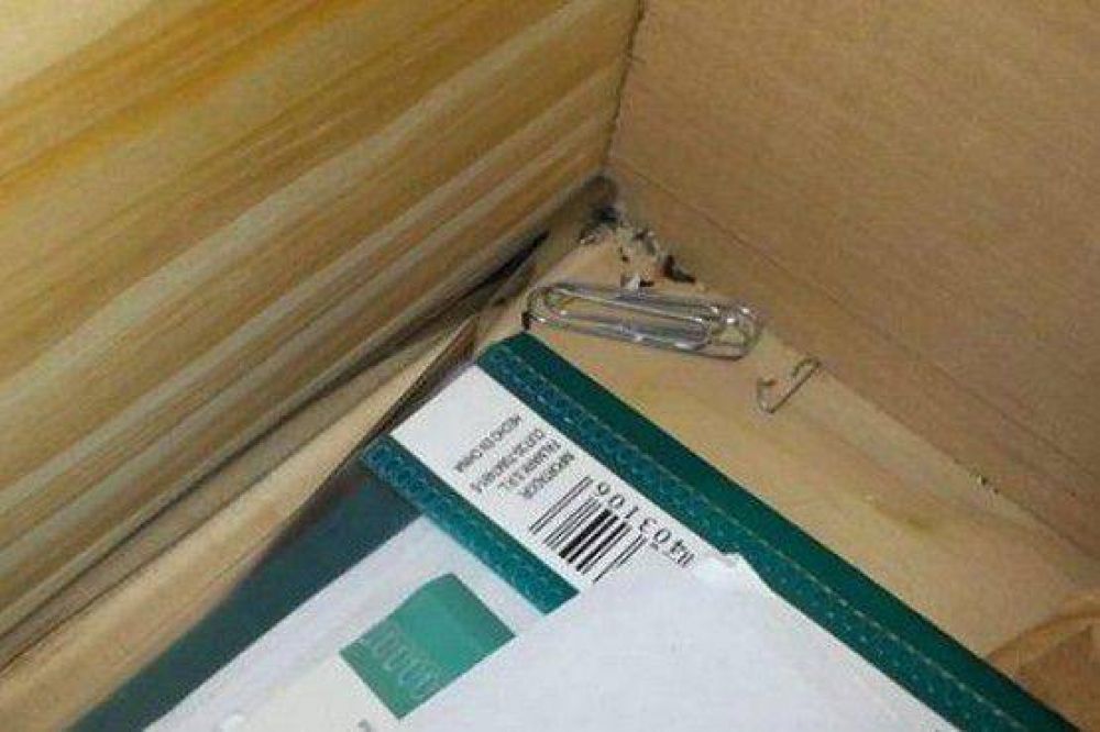 Primaria N� 63: Se suspenden las clases por presencia de ratas