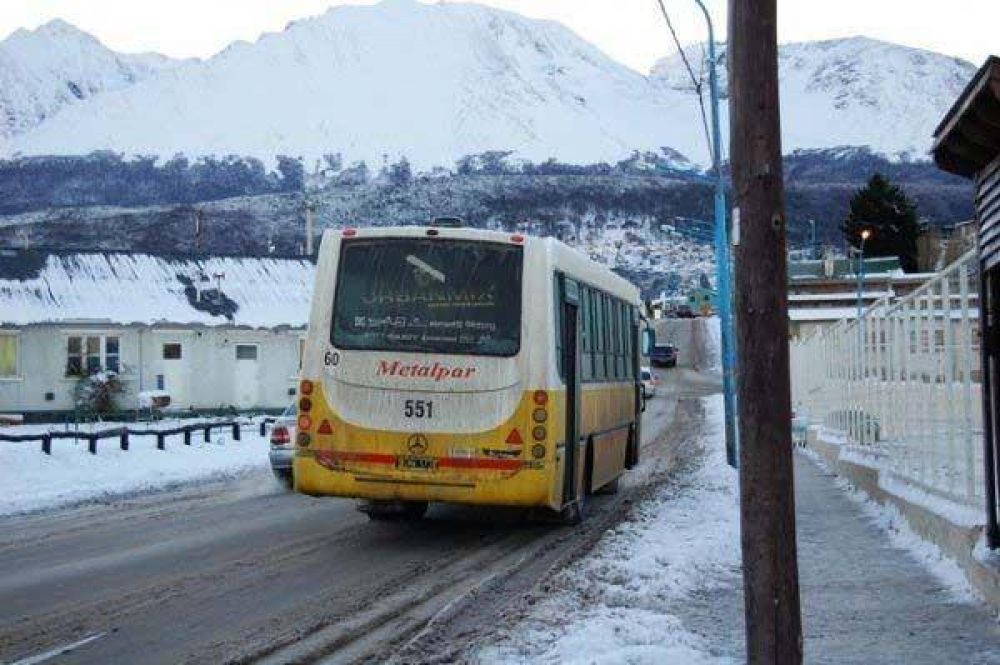 La Municipalidad de Ushuaia dispondr un servicio de emergencia