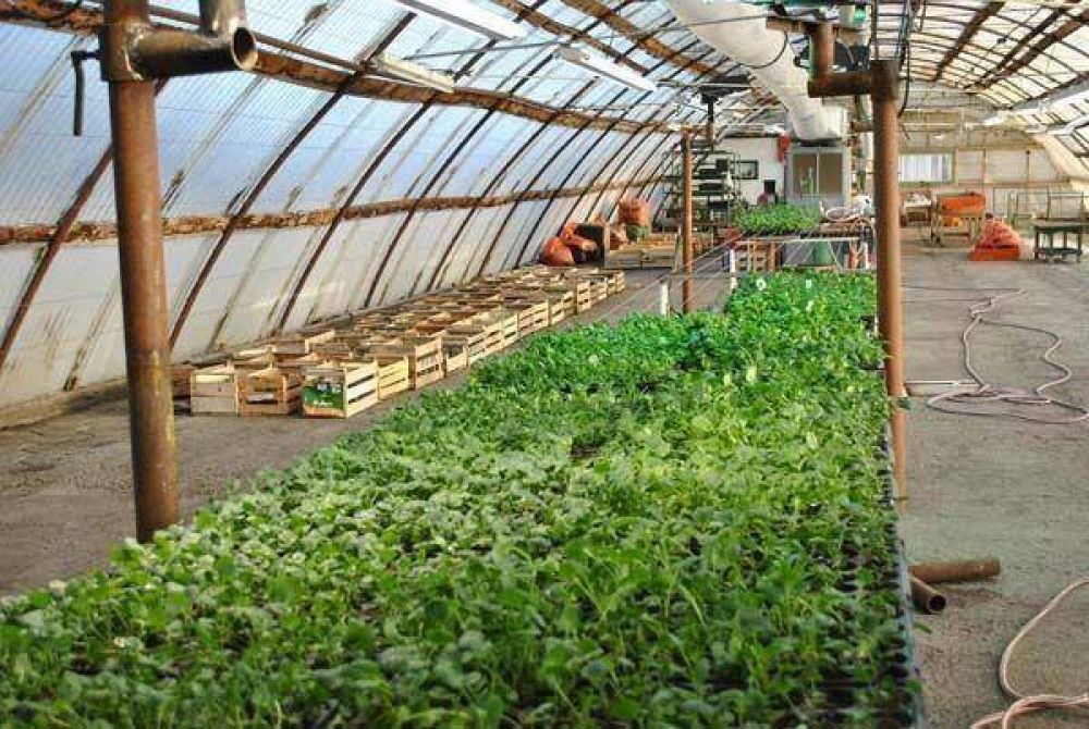 El municipio brindar� el primer curso de jardiner�a pr�ctica
