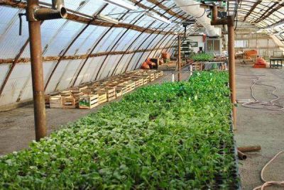 El municipio brindar� el primer curso de jardiner�a pr�ctica