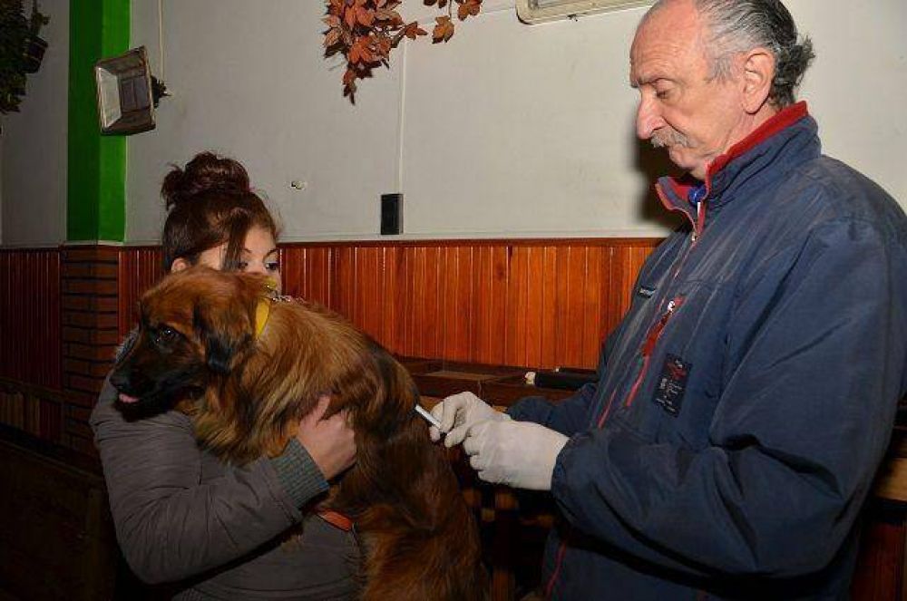 Lan�s: en agosto contin�an con los operativos de castraci�n