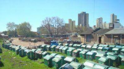 Denuncian que trabajadores municipales realizan clasificaci�n de residuos
