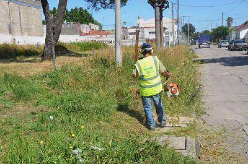 Se limpiaron m�s de 380 mil metros cuadrados de terrenos bald�os