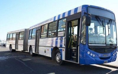 Subsidios 2012: transportistas marplatenses recibieron $450 mil diarios