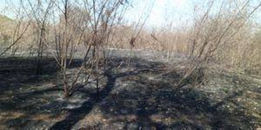 Quemaz�n da�a m�s de 6 mil hect�reas del Ba�ado La Estrella