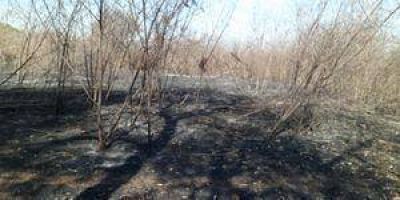 Quemaz�n da�a m�s de 6 mil hect�reas del Ba�ado La Estrella
