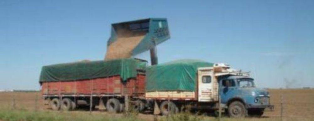 Allanamientos simult�neos en Rosario por venta de cereal de dudoso origen