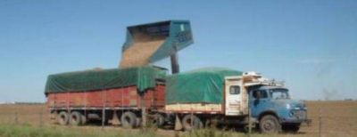 Allanamientos simult�neos en Rosario por venta de cereal de dudoso origen