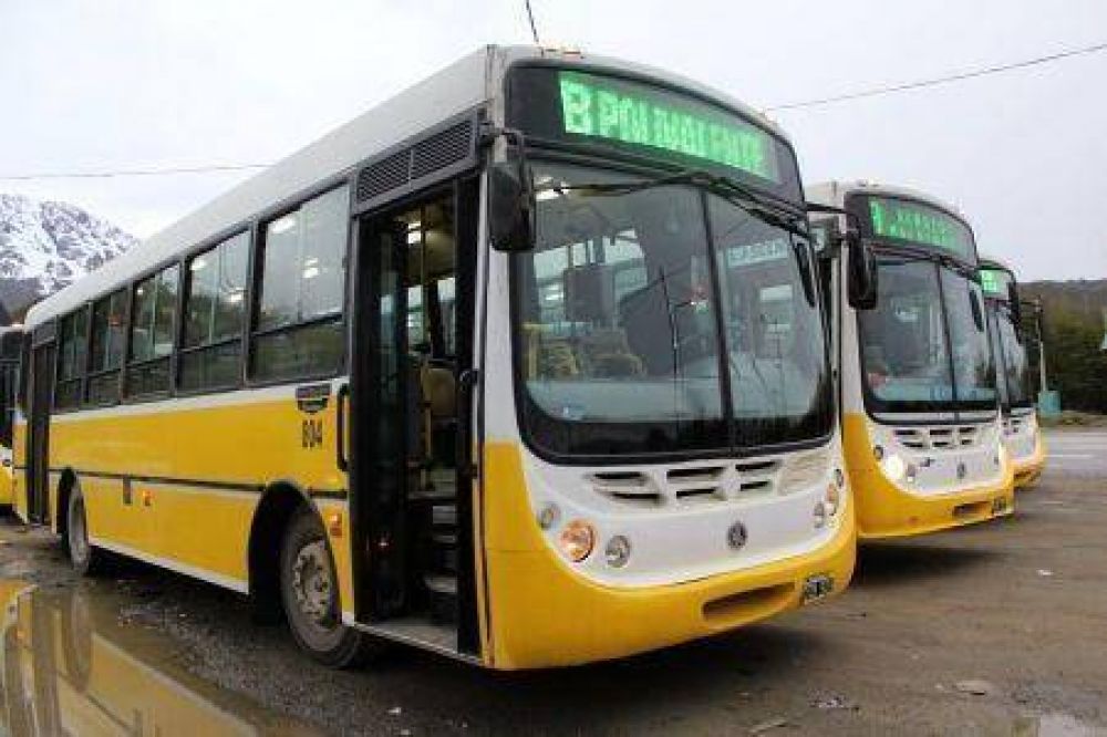 Figueroa: "No somos culpables del mal servicio del transporte"