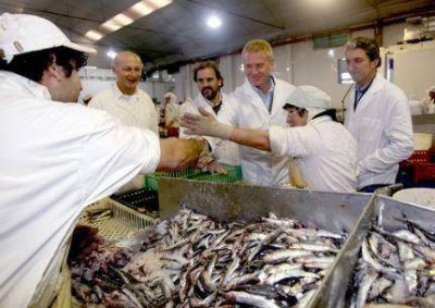 Giri, Scioli y de Narv�ez de recorrida por planta de pescado