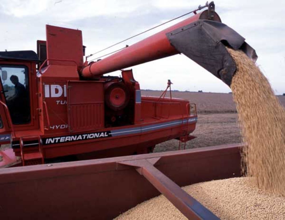 Exportaciones: La Pampa, en el puesto 16�
