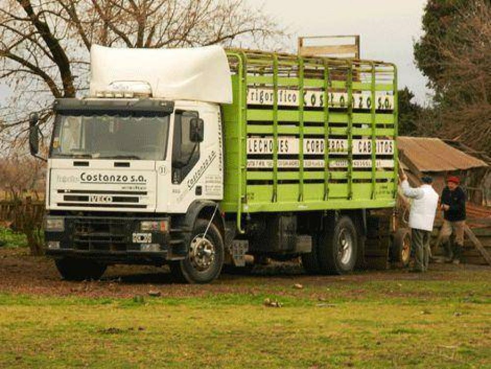 SENASA envi� a faena controlada 61 cerdos por foco de triquinosis 