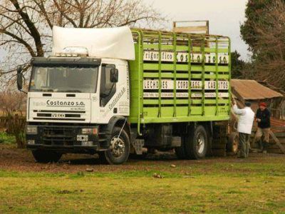 SENASA envi� a faena controlada 61 cerdos por foco de triquinosis 