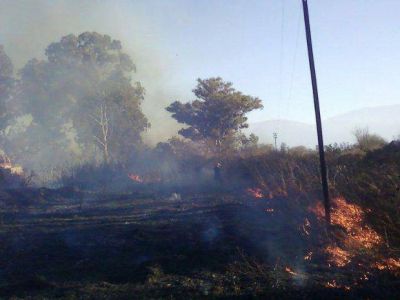 Incendios forestales: hasta julio casi se igual� el total de 2012