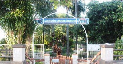El Zool�gico de la Costanera dice adi�s tras m�s de 20 a�os